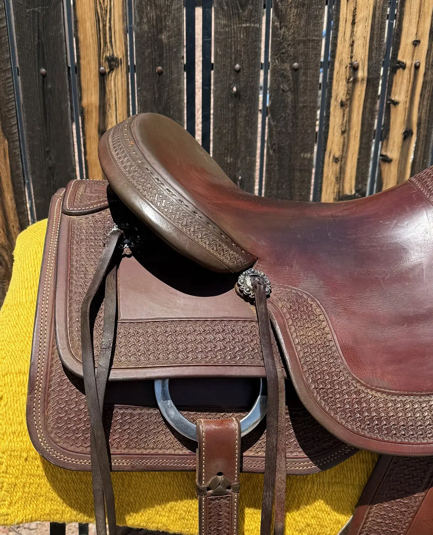 Equine Oasis — cantle left detail