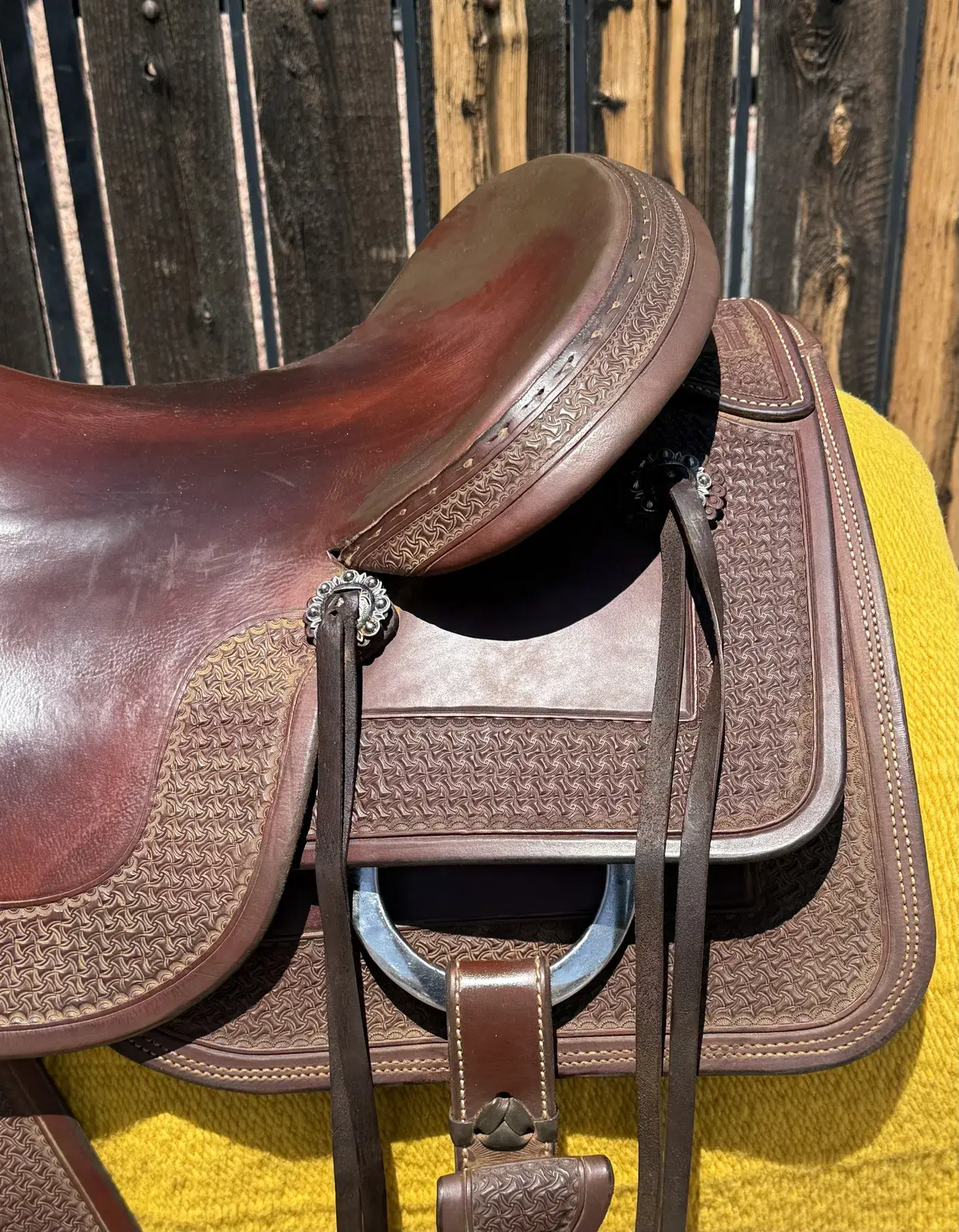 Equine Oasis — cantle right detail
