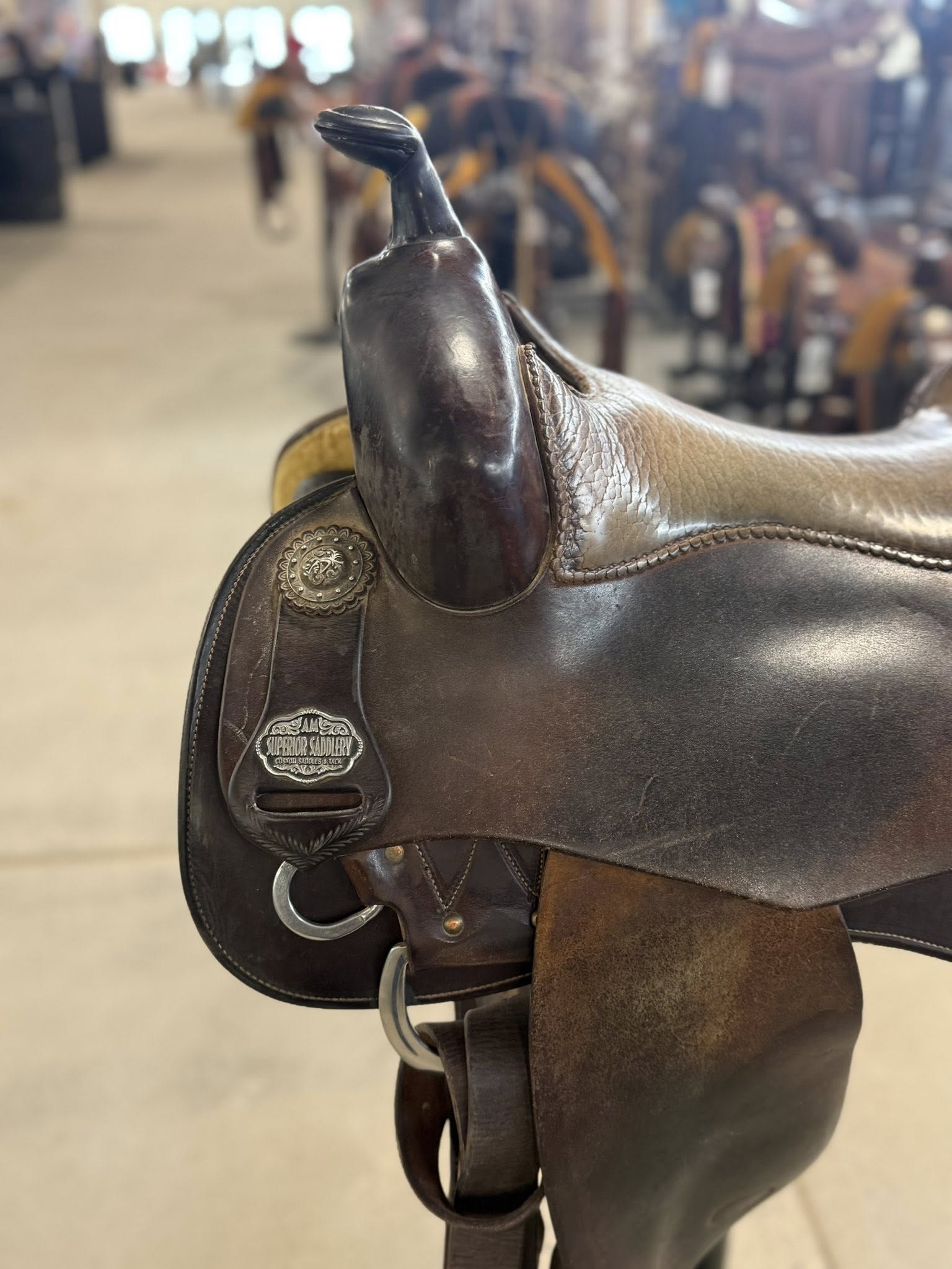 Jason Vanlandingham Superior — horn left with AM Superior Saddlery badge