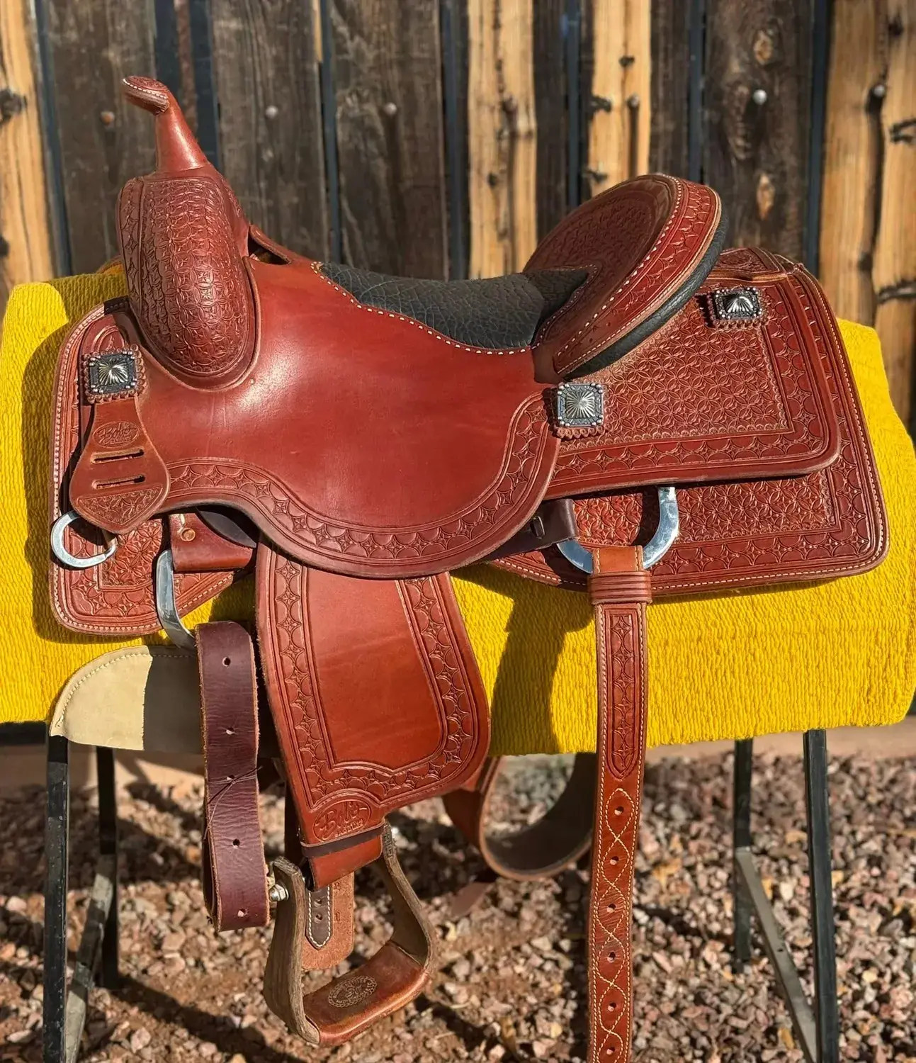 Lady Cowhorse — right side with Bob's Custom badge